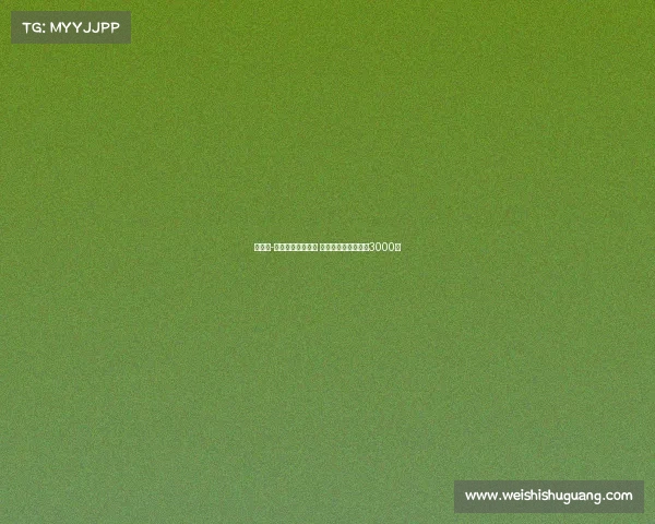 韦斯利-利马愿意加盟罗马 弗拉门戈标价不低于3000万